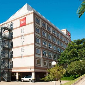 Ibis Paulinia